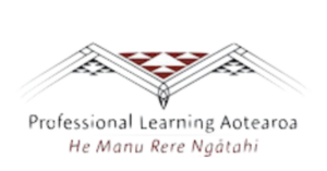 professional learning aotearoa